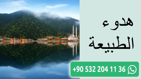 هدوء الطبيعة